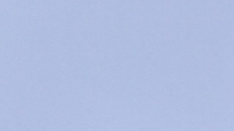 Alejandro González Iñárritu.