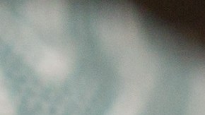 Avocado and Mango Salad