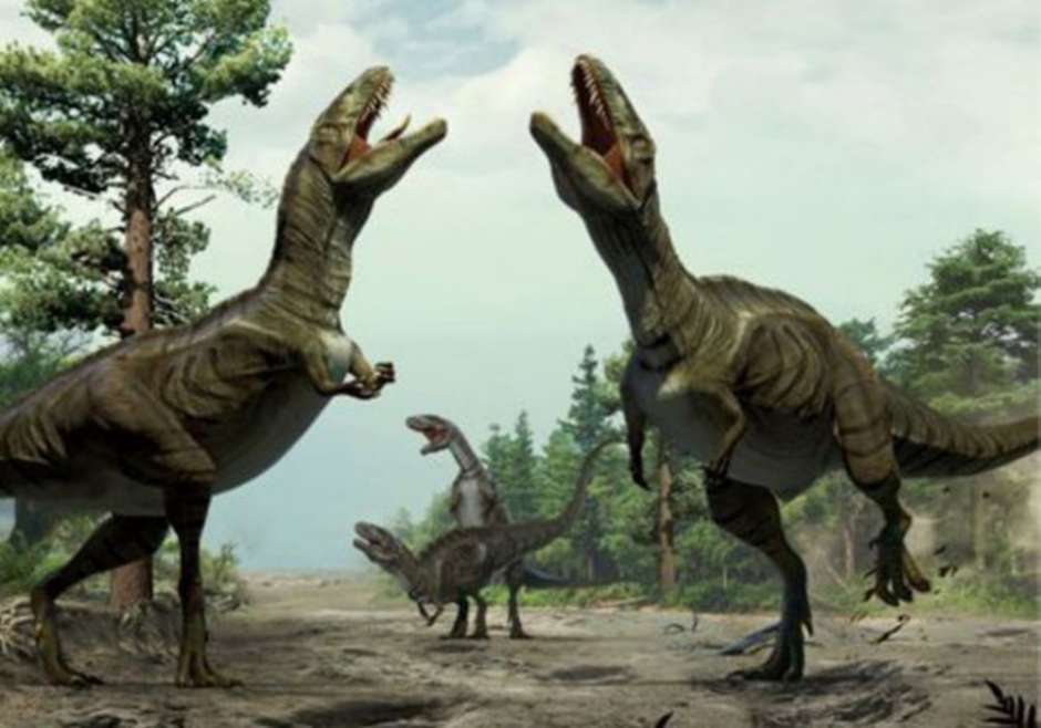 Descubren El Dinosaurio Del Cuello Mas Largo En La Historia El Diario Ny