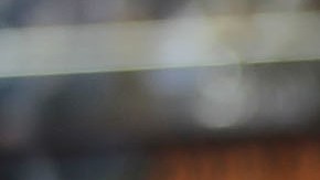 Carruajes en Central Park, NYC.