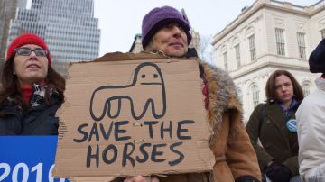 Los activistas de animales también criticaron que no se acabe en su totalidad con la práctica de usar caballos para tirar de los carruajes.