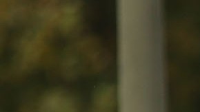 Actualmente unos 300 conductores de bicitaxi operan en Central Park, NYC.