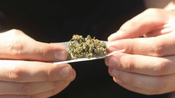 La Asociación médica de California apoya la legalización y regulación del uso de marihuana, como ya lo es el uso de alcohol.
