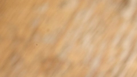 Churros with Dulce de Leche Sauce