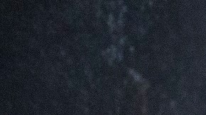 'The Forest' se estrena hoy en cines.