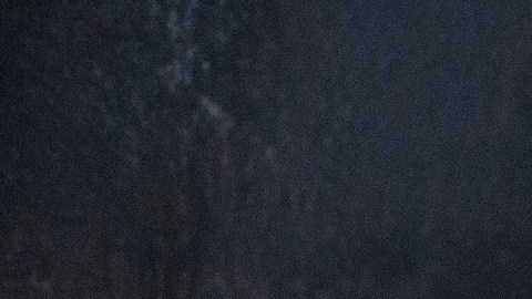 'The Forest' se estrena hoy en cines.