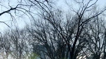 El Departamento de Parques de Nueva York está poniendo a punto las zonas recreativas para el Festival de Invierno.