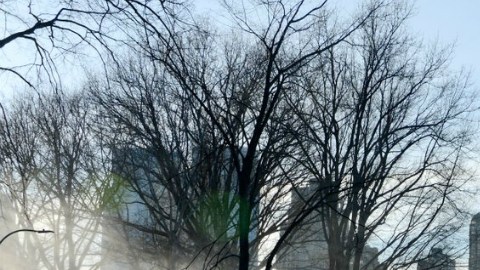 El Departamento de Parques de Nueva York está poniendo a punto las zonas recreativas para el Festival de Invierno.