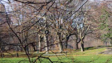 La Milla de los Museos bordea el extremo este de Central Park.