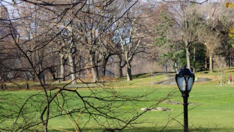 La Milla de los Museos bordea el extremo este de Central Park.