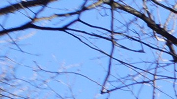 Residencias públicas Sheepshead Bay Houses, NYC.