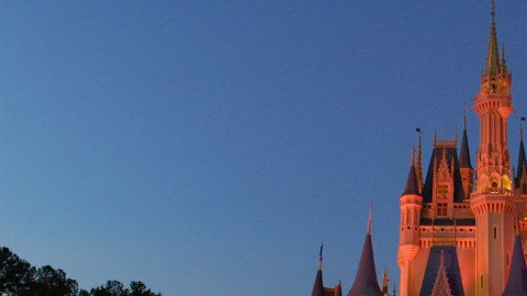 Según la portavoz del parque, el niño fue atendido rápidamente y la familia regresó al parque de atracciones tras el incidente.