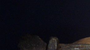 La acción de la maestra fue catalogada de “racista”.