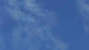 En las instalaciones del parque temático Walt Disney World Resort se han habilitado puntos para que los empleados que deseen donen sangre.