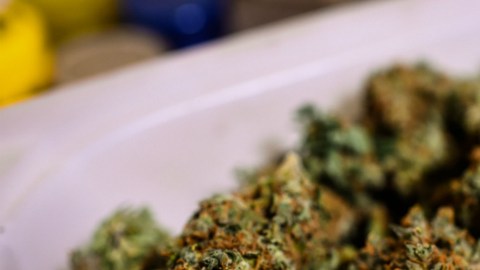 En la operación, los agentes también hallaron marihuana en proceso de secado.