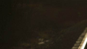 El tren, que circulaba por Bengala Occidental (India) tenía un total de 48 vagones.