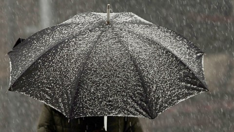 Puedes informarte sobre las medidas extraordinarias que podrán tomarse si el clima empeora por teléfono (311), en la web del Ayuntamiento o por Twitter.
