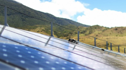 Un empleado realiza trabajos de mantenimiento en una de las plantas solares de Costa Rica.