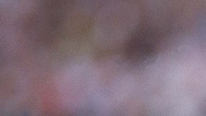 Tras ganar el bicampeonato con los Broncos, John Elway se retiró a los 38 años.