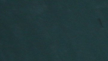 Muchos desamparados prefieren permanecer en las calles para evitar la violencia en los refugios.