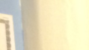 El colectivo Kichwa Hatari  tradujo al quechua una guía de derechos del inmigrante ante políticas del ICE.