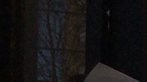 Unos 60 inquilinos pidieron freno al desalojo ilegal en Harlem.