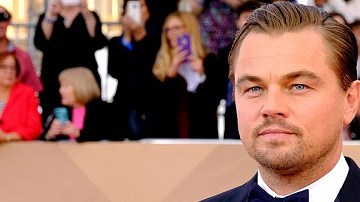Leonardo DiCaprio está gozando de imparables triunfos en este 2016 tras su papel en "The Revenant".