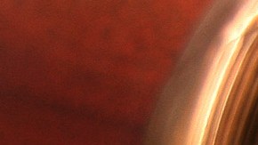 Thomas Sáenz, presidente del Fondo Mexicoamericano para la Defensa Legal y Educación (MALDEF). /AURELIA VENTURA