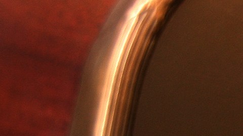 Thomas Sáenz, presidente del Fondo Mexicoamericano para la Defensa Legal y Educación (MALDEF). /AURELIA VENTURA