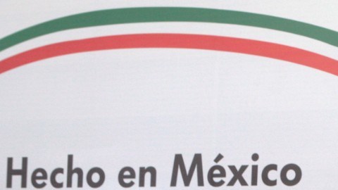 mexico beetle