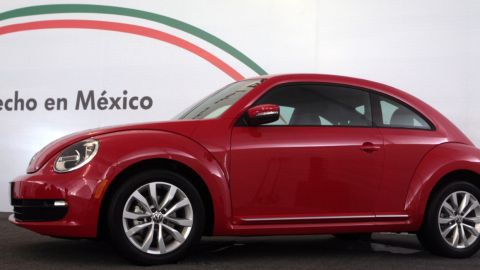 mexico beetle