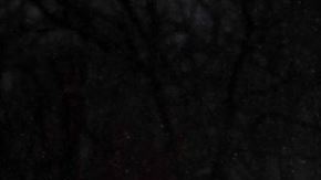 La guardia se mantiene ante la Tumba del Soldado Desconocido en Arlington, pese a la tormenta de nieve.