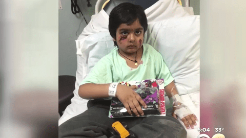 A este niño de 6 años lo atacó un mapache en Nueva Jersey mientras caminaba hacia la escuela con su madre.