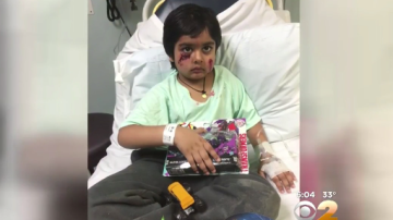 A este niño de 6 años lo atacó un mapache en Nueva Jersey mientras caminaba hacia la escuela con su madre.