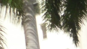 Anthony Losquadro, fundador de Intaction junto a  Vera Delgado madre de Mario, un bebé que fue circuncidado sin el consentimiento de sus padres en Florida.