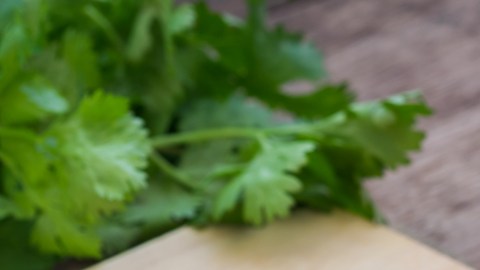 shutterstock_306966134