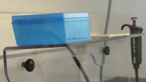 Según se ha reportado en Brasil, los niños que han nacido de madres infectadas con el virus han presentado problemas en el desarrollo del cerebro, enfermedad conocida como la microcefalia.