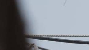 'Star Wars. The Force Awakens' está a solo $20 millones de convertirse en el filme más taquillero de la historia en EEUU.