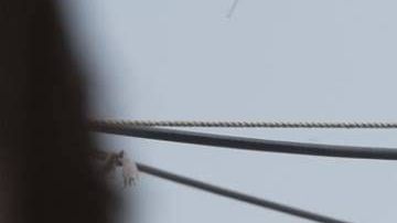 'Star Wars. The Force Awakens' está a solo $20 millones de convertirse en el filme más taquillero de la historia en EEUU.