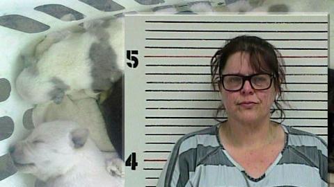 Tammy Green Douglas