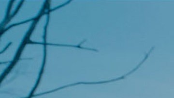 'The Revenant' es el filme más nominado para la 88 edición de los Oscar, con 12 candidaturas.