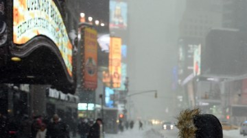 Los espectáculos en los cinco distritos se están cancelando a causa del temporal de nieve y viento, que empeora por momentos.