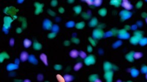 Chris Martin aseguró que intentarán brindar un show memorable.