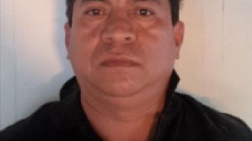 Franciso Javier Hernández, detenido en Sinaloa.