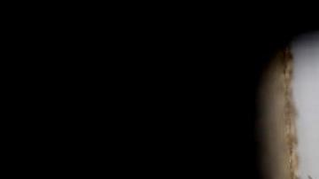 zika