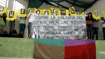 Representantes de mujeres trabajadoras paraguayas, en su mayoría procedentes del sector del trabajo informal, reclamaron en el Congreso paraguayo una mayor participación política femenina para asegurar sus derechos en el marco del Día de la Mujer Paraguaya, que se conmemora hoy.