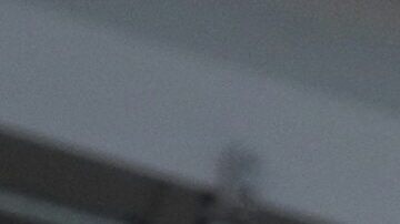 El gobernador de Florida, Rick Scott, declaró hoy el estado de emergencia en tres condados del sur del estado, donde los negocios turísticos se han visto afectados por el vertido de aguas del lago Okeechobee.