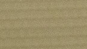 El expresidente de México Felipe Calderón.