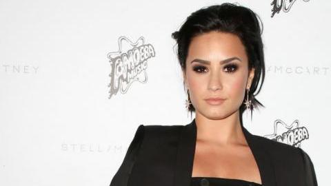 Demi es una de las celebridades con mayor cantidad de seguidores en la famosa red social.