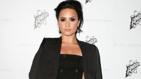 Demi es una de las celebridades con mayor cantidad de seguidores en la famosa red social.